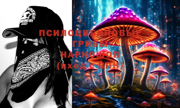 мескалин Заводоуковск