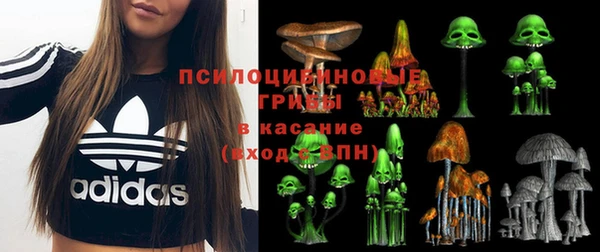 мескалин Заводоуковск